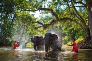 Thailand's Culture, Nature & Wonders Tour