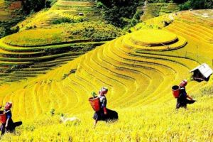 3 Days Sapa Tour From Hanoi By Train