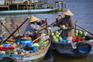 11 Days Impressions Of Vietnam Tour