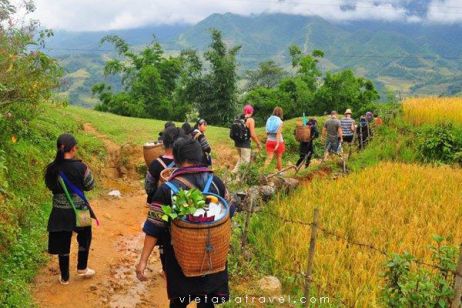 Trekking in Sapa