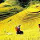 3 Days Sapa Tour From Hanoi By Train