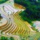 2 Days Sapa Tour From Hanoi By Train